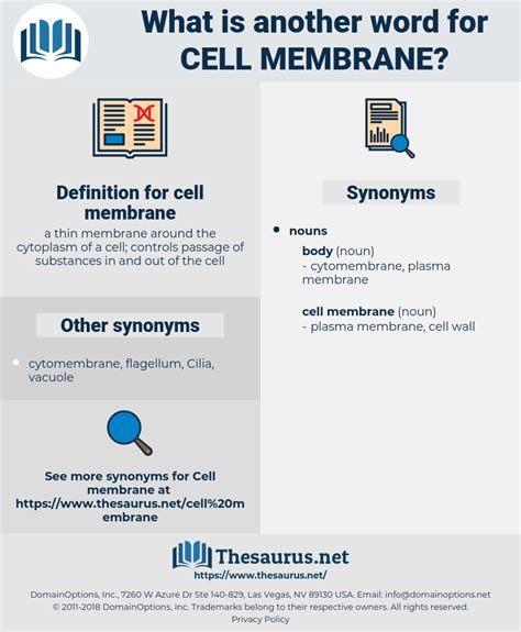 cell membrane synonym|another word for cell membrane.